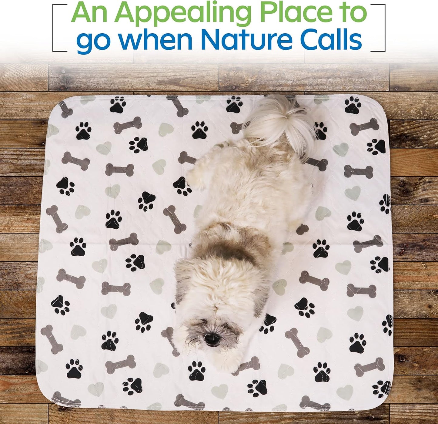 Washable Pee Pads for Dogs - Waterproof Reusable Puppy Pads with Anti-Slip Backing, Pet Training Pad for Puppy Playpen, Crate, Whelping Box, Potty Training (Pack of 6 - 30X34)